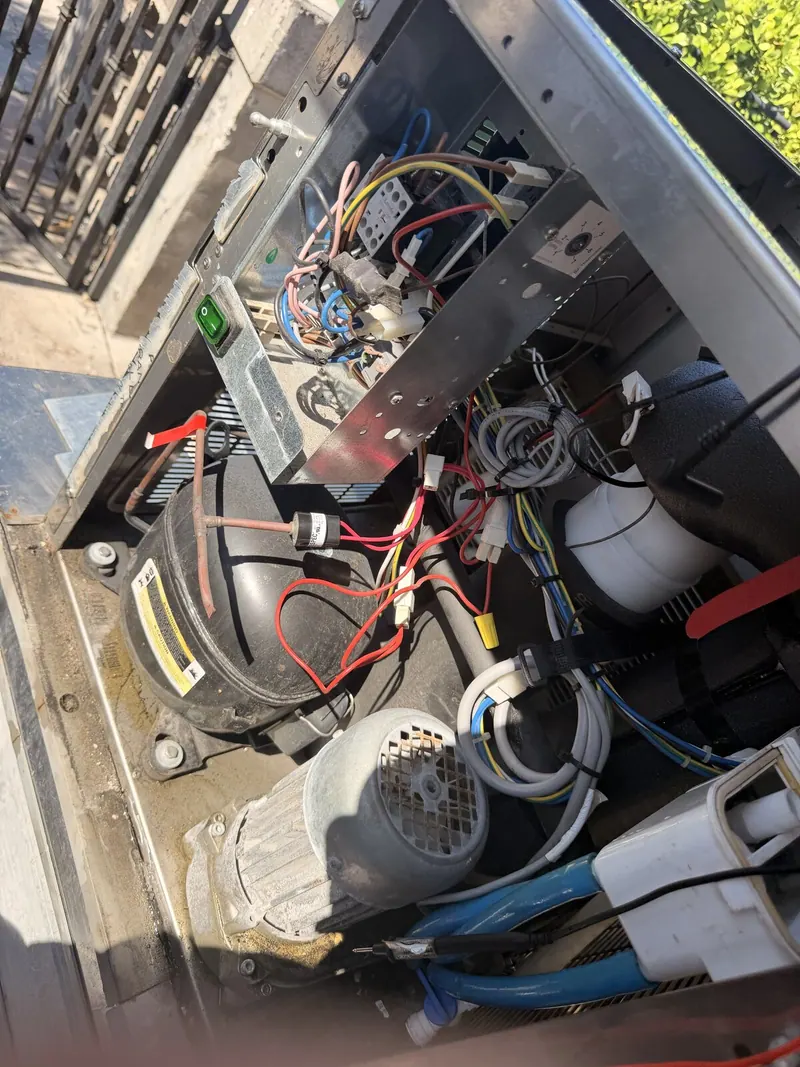 Compressor, motor and wiring