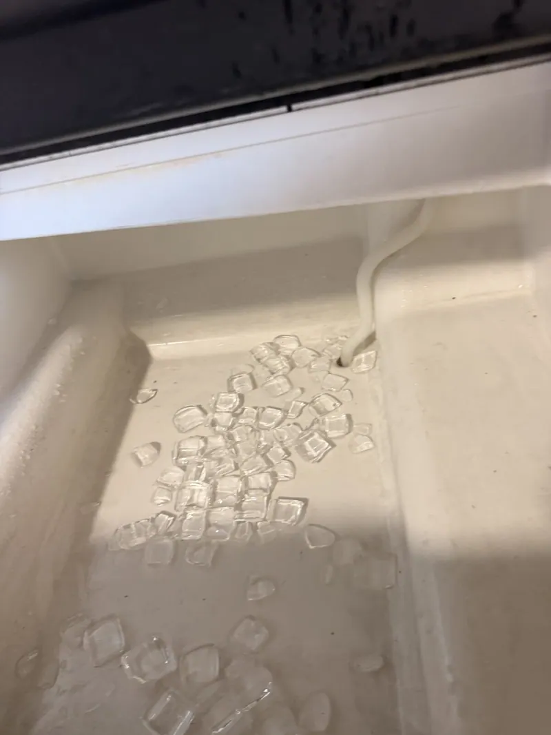 Ice cubes in the ice machine bin
