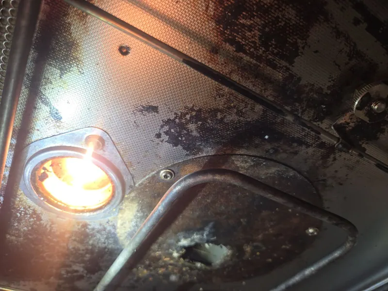 Inside the Miele microwave cavity