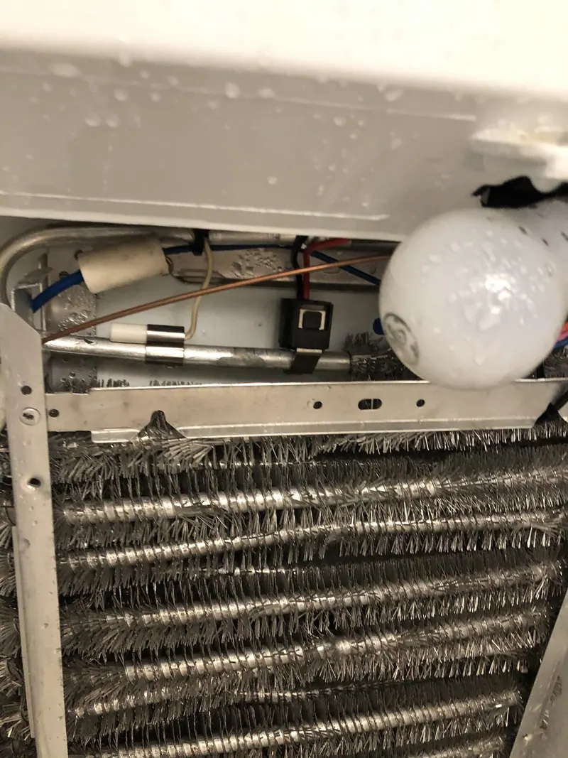 Evaporator coils and light bulb