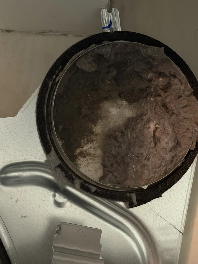 Dryer vent duct clogged with lint