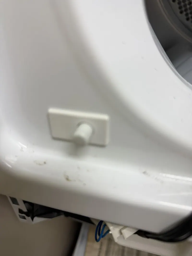 Dryer door switch button