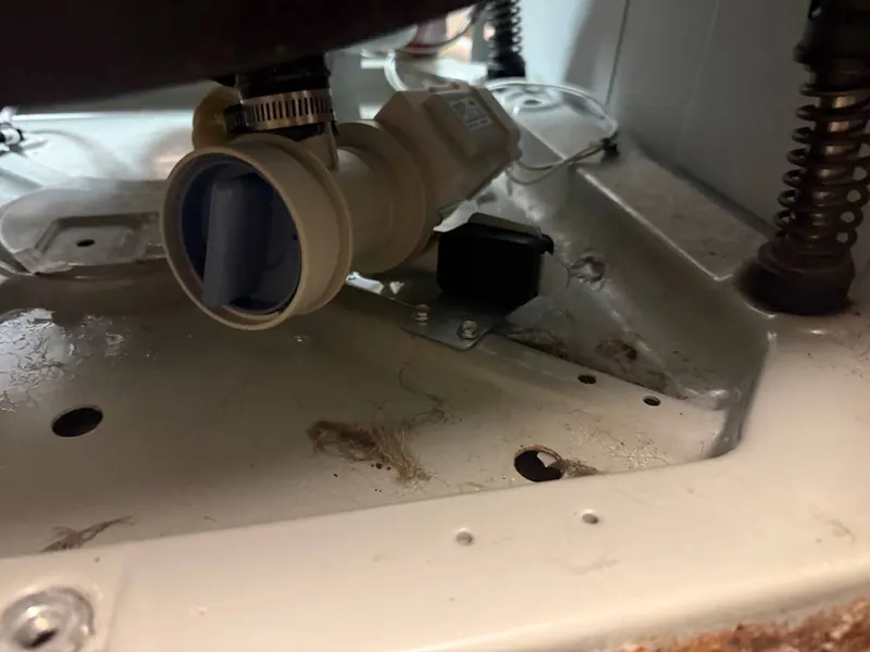 Washer drain pump and suspension spring