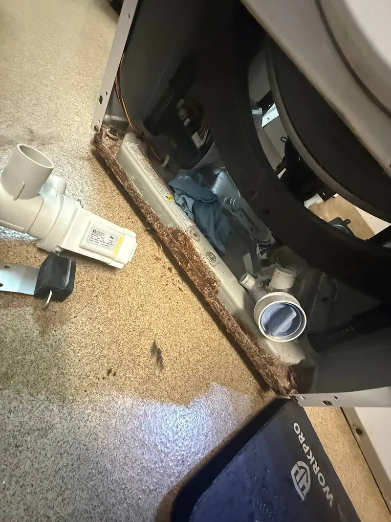 Detached drain pump and rust inside the washer