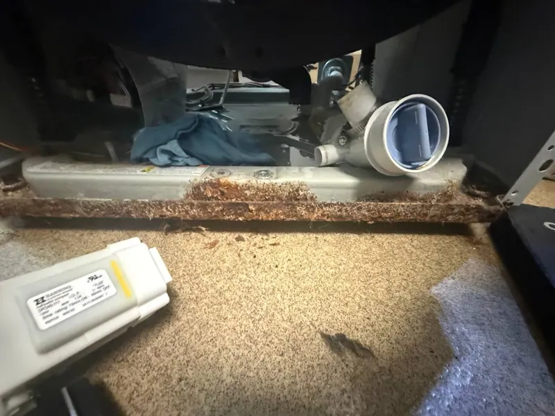 Rusty base pan under the washer